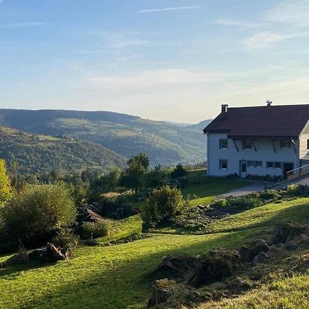 Le Gite De Mon Grand Pere Leilighet La Bresse Eksteriør bilde