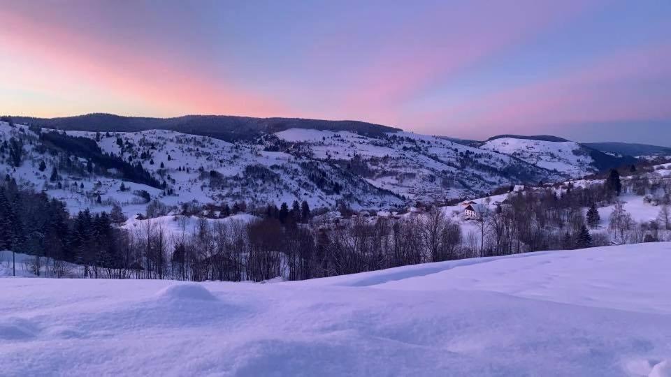 Le Gite De Mon Grand Pere Leilighet La Bresse Eksteriør bilde